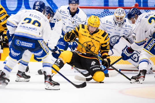 Skellefteås Andreas Wingerli