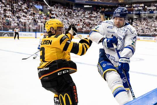 Skellefteås Theo Keilin och Leksands John Quenneville