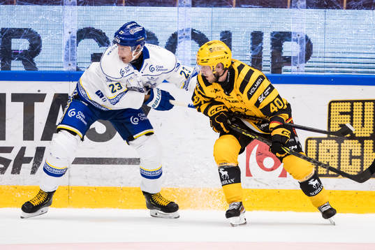 Leksands Mikael Ruohomaa och Skellefteås Andreas Wingerli