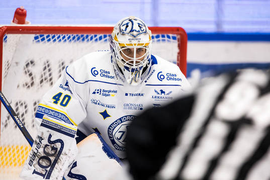 Leksands målvakt Mantas Armalis