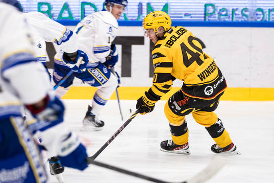 Skellefteås Andreas Wingerli ´under ishockeymatchen i SHL