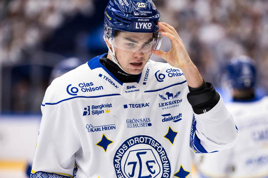 Leksands Lian Bichsel