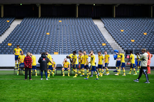 Players of the Swedish national football team