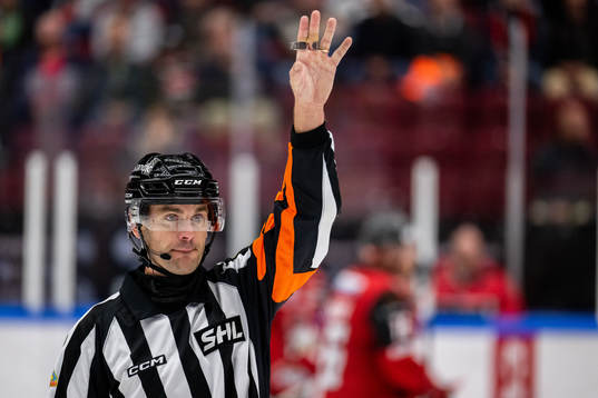 Domare Richard Magnusson