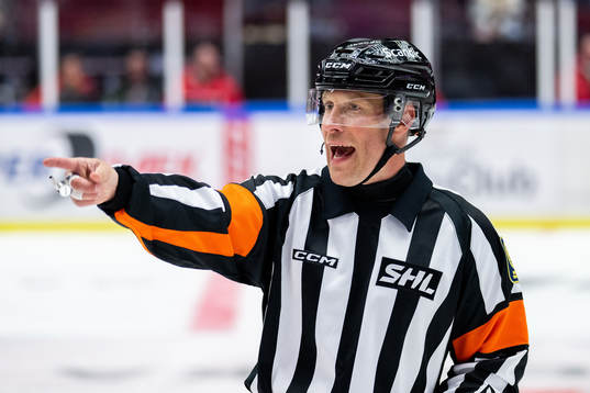 Domare Tobias Björk