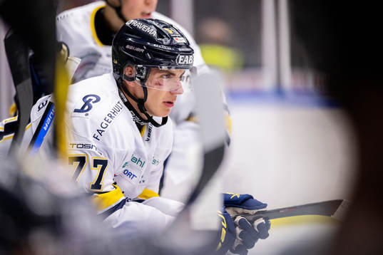 HV71s Herman Hansson