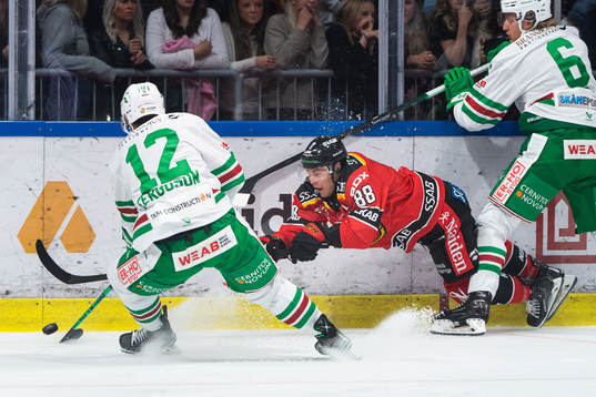 Luleås Joonas Rask