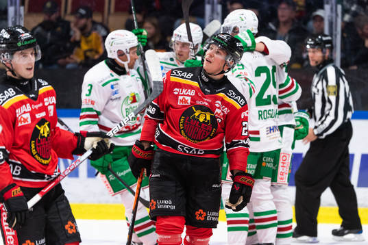 Luleås Jesper Sellgren och Erik Gustafsson deppar