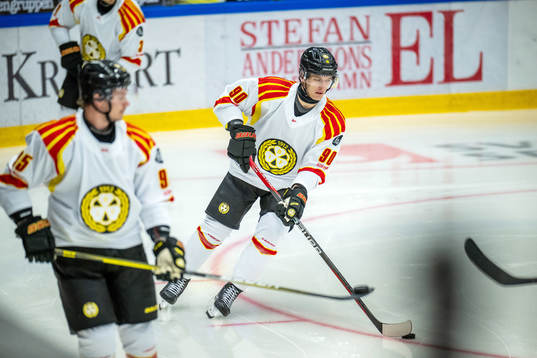 Brynäs David Sklenicka