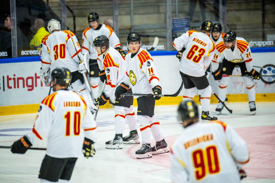 Brynäs Alexander Ljungkrantz