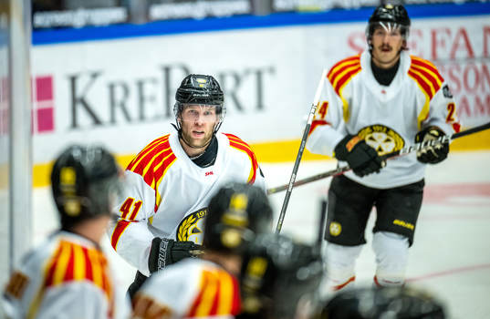 Brynäs Greg Scott jublar