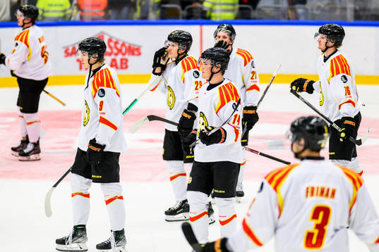 Brynäs spelare deppar