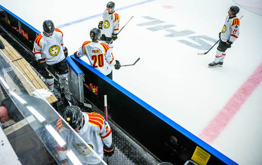 Brynäs spelare deppar
