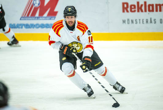 Brynäs Anton Rödin