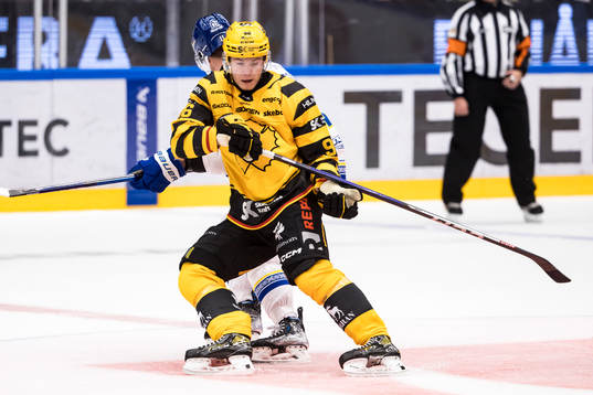 Skellefteås Rickard Hugg