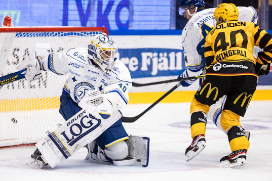 Leksands målvakt Mantas Armalis