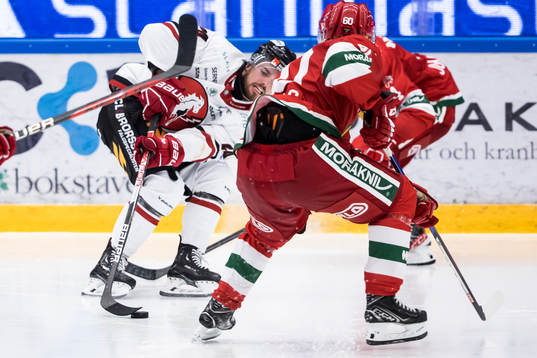 Vita Hästens Arvid Degerstedt