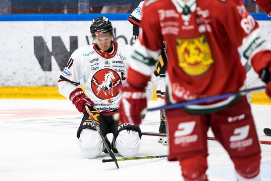 Vita Hästens Eric Borg deppar