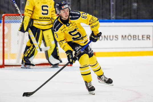 Södertäljes Ludvig Jansson