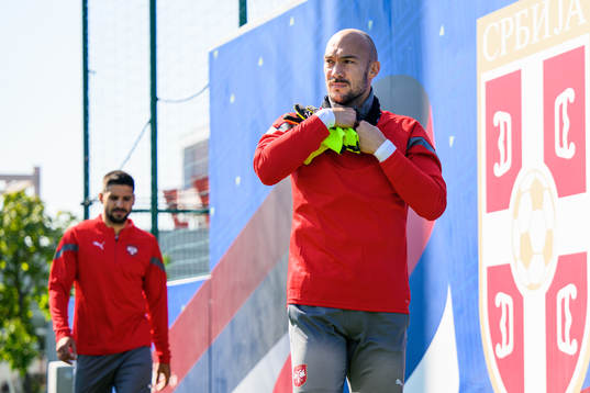 Goalkeeper Marko Dmitrovic