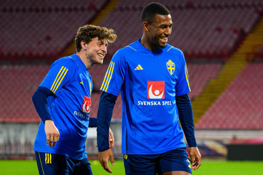Victor Nilsson Lindelöf and Isak Hien