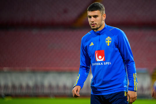 Edvin Kurtulus