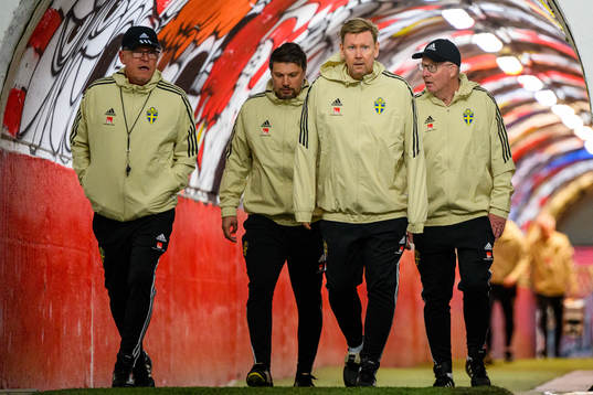 Head coach Janne Andersson, Sport psychologist Daniel