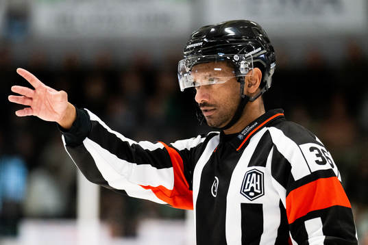 Domare Fredrik Rönnberg