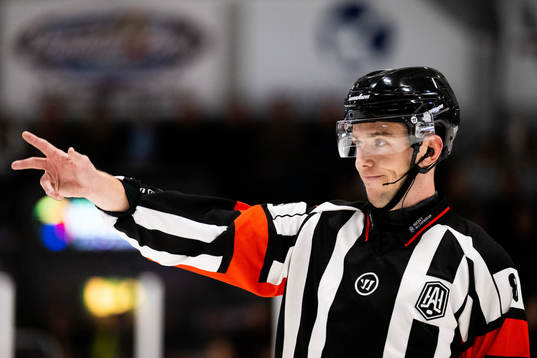 Domare Oscar Niklasson