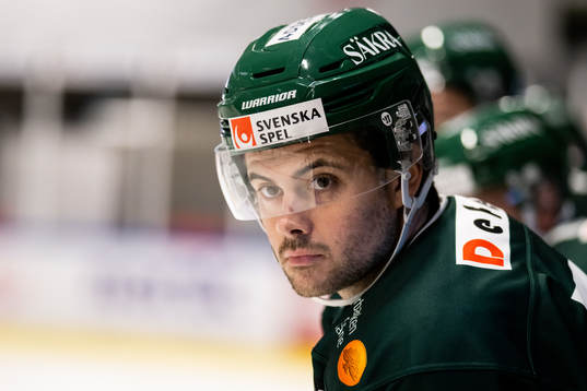 Kristianstads Ludvig Elvenes