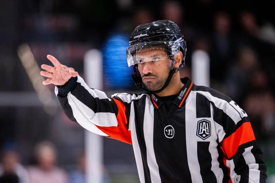 Domare Fredrik Rönnberg