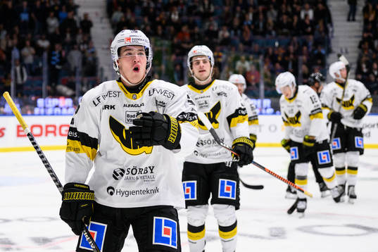 Västerås Alexander Lundsjö jublar