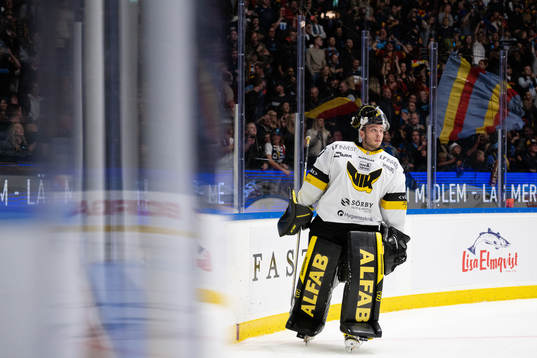 Västerås målvakt Johan Gustafsson deppar