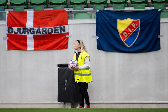 Djurgårdens flagga