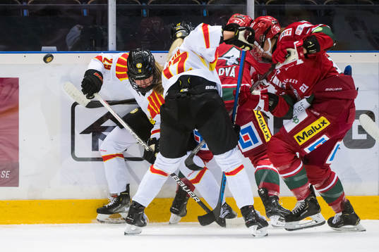 Brynäs Felizia Wikner-Zienkiewicz kämpar