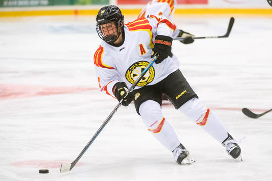 Brynäs Maja Nylen-Persson