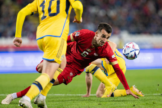 Erhan Masovic of Serbia