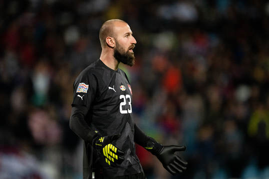 Goalkeeper Vanja Milinkovic-Savic of Serbia