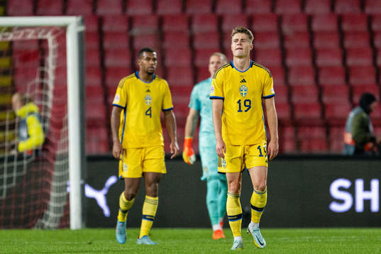 Isak Hien and Mattias Svanberg of Sweden look dejected