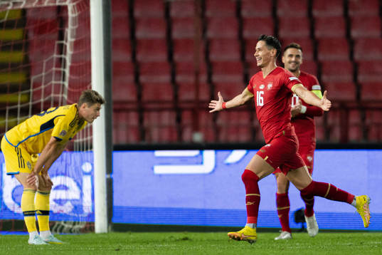 Sasa Lukic of Serbia celebrates the 4-1 goal