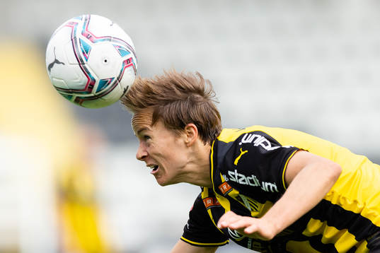 Häckens Aivi Luik