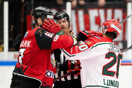 Malmö Redhawks Fredrik Händemark och Frölundas Joel