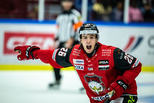 Malmö Redhawkss Thomas Schemitsch