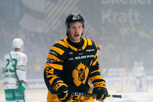 Skellefteås Jonathan Pudas jublar