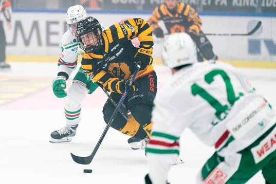 Skellefteås Axel Sandin Pellikka