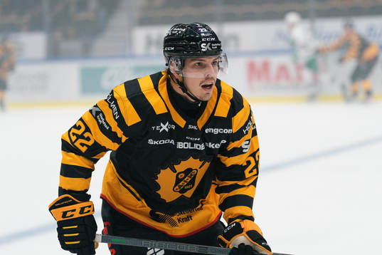 Skellefteås Jonathan Johnson