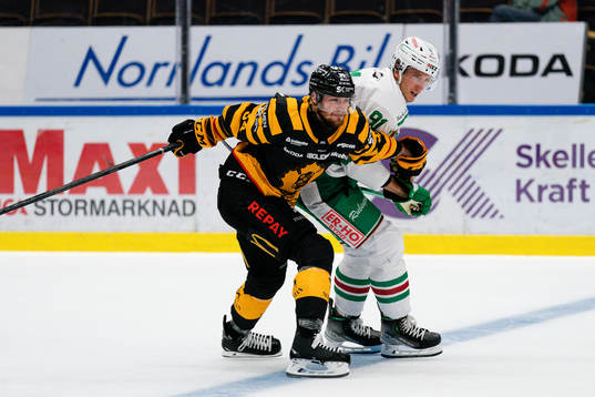 Skellefteås Tom Kühnhackl och Rögles Adam Tambellini