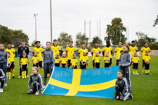 Players of Sweden