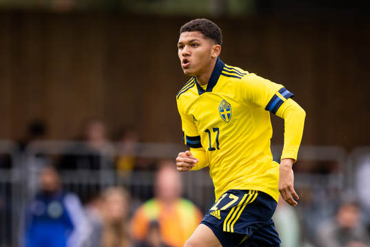 Malik Mokede of Sweden