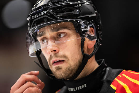 Brynäs Niklas Friman